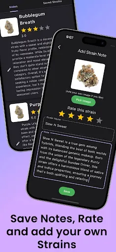 Скриншот 3 — Strain Guide