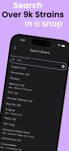 Скриншот 5 — Strain Guide