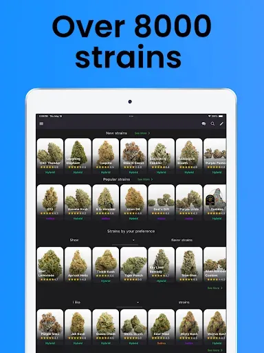 Скриншот 6 — Strain Guide