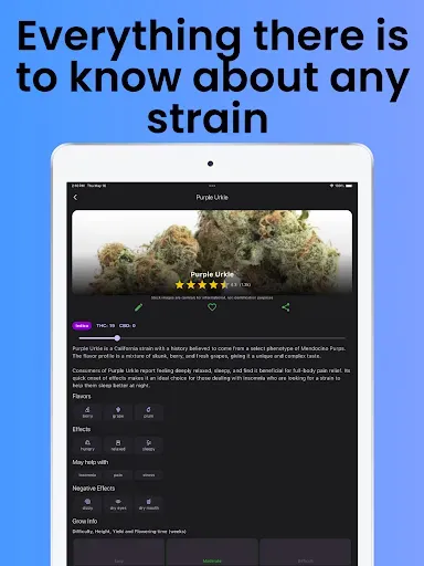 Скриншот 7 — Strain Guide