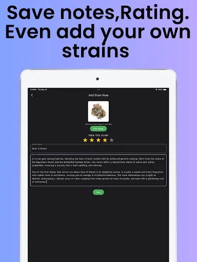 Скриншот 8 — Strain Guide