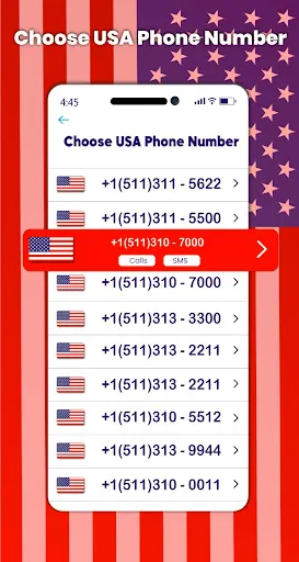 Скриншот 1 — Номер телефона в США