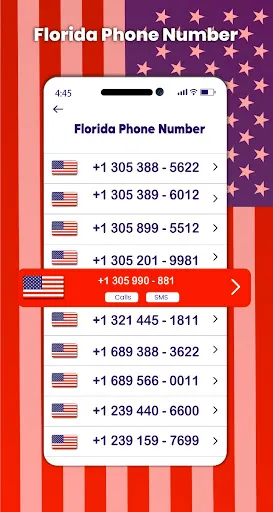 Скриншот 2 — Номер телефона в США