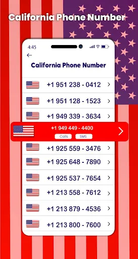 Скриншот 3 — Номер телефона в США