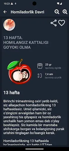 Скриншот 5 — Homiladorlik davri