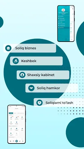 Скриншот 2 — Soliq