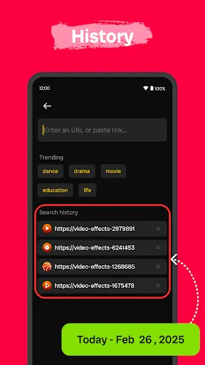 Скриншот 5 — Video Downloader Browser