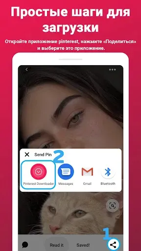 Скриншот 2 — Загрузчик видео для Pinterest
