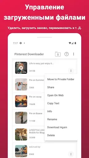 Скриншот 4 — Загрузчик видео для Pinterest