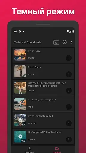 Скриншот 7 — Загрузчик видео для Pinterest