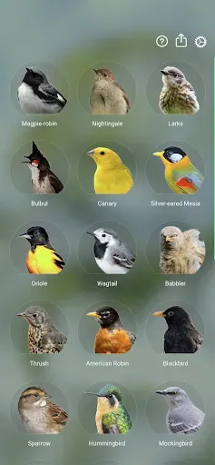 Скриншот 1 — Звуки птиц: Bird Sounds