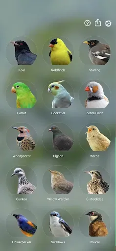 Скриншот 8 — Звуки птиц: Bird Sounds