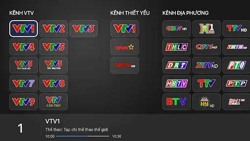 Скриншот 3 — VTVgo Truyền hình số QG cho TV