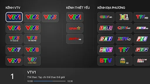 Скриншот 7 — VTVgo Truyền hình số QG cho TV