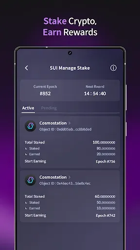 Скриншот 6 — Cosmostation Interchain Wallet