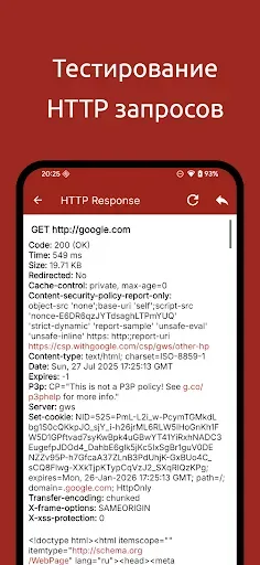 Скриншот 2 — Web Tools
