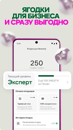 Скриншот 4 — WB Банк Бизнес