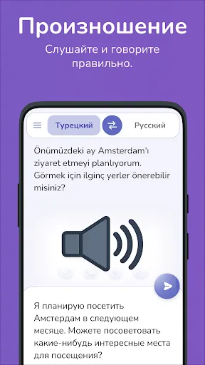 Скриншот 7 — Турецкий-русский переводчик