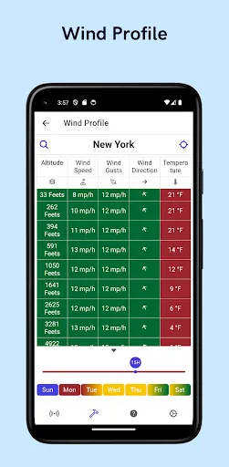 Скриншот 4 — Drone Weather Forecast