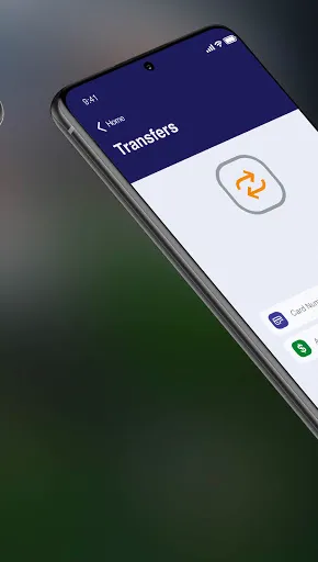 Скриншот 7 — Steward Bank Visa